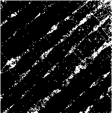 ������ - ���������� ������