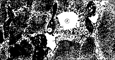 ������ - ���������� ������