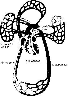 ������ - ���������� ������