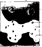 ������ - ���������� ������