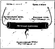 ������ - ���������� ������