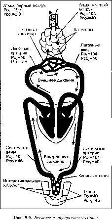 ������ - ���������� ������