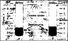 ������ - ���������� ������