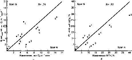 ������ - ���������� ������