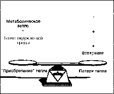 ������ - ���������� ������