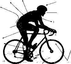 ������ - ���������� ������