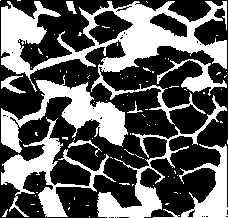 ������ - ���������� ������