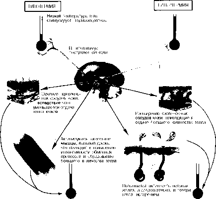 ������ - ���������� ������