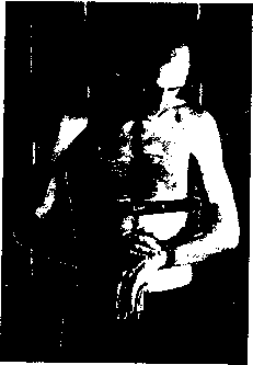 ������ - ���������� ������