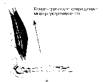 ������ - ���������� ������