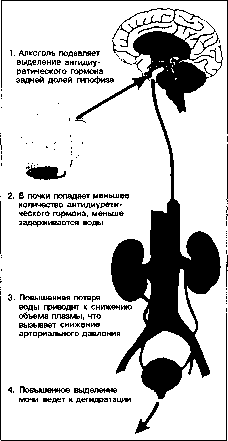 ������ - ���������� ������