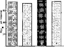 ������ - ���������� ������