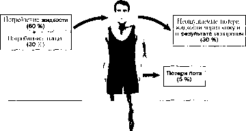 ������ - ���������� ������