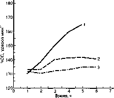 ������ - ���������� ������