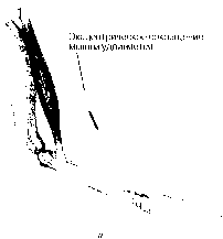 ������ - ���������� ������