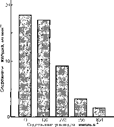 ������ - ���������� ������