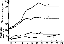 ������ - ���������� ������