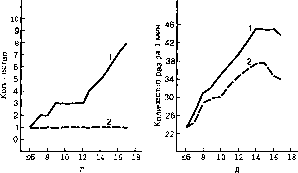 ������ - ���������� ������