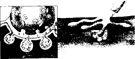 ������ - ���������� ������