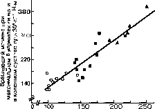 ������ - ���������� ������