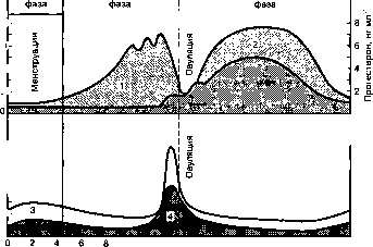 ������ - ���������� ������