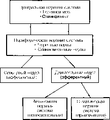 ������ - ���������� ������