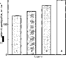 ������ - ���������� ������