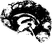 ������ - ���������� ������