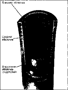 ������ - ���������� ������