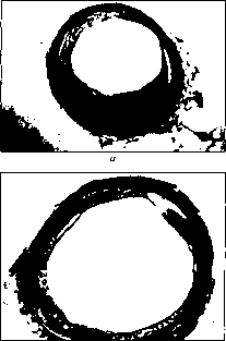 ������ - ���������� ������