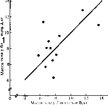 ������ - ���������� ������