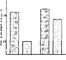 ������ - ���������� ������