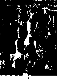 ������ - ���������� ������