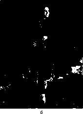 ������ - ���������� ������