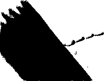 ������ - ���������� ������