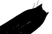 ������ - ���������� ������