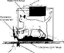 ������ - ���������� ������