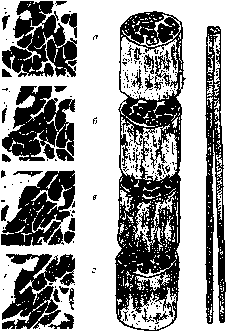 ������ - ���������� ������