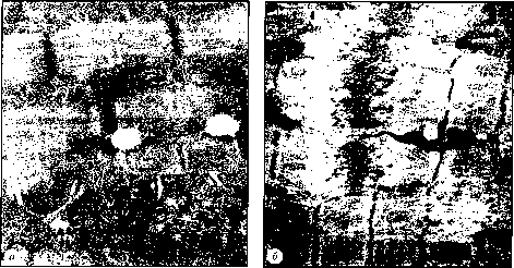 ������ - ���������� ������