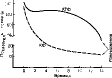 ������ - ���������� ������