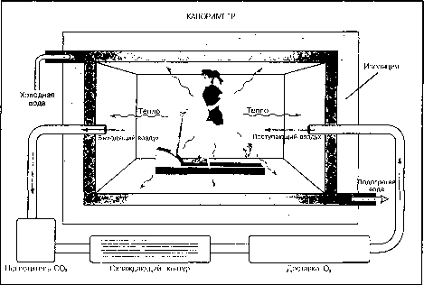 ������ - ���������� ������