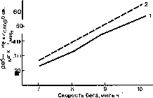 ������ - ���������� ������