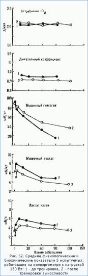 Физиологические основы формирования двигательных навыков
