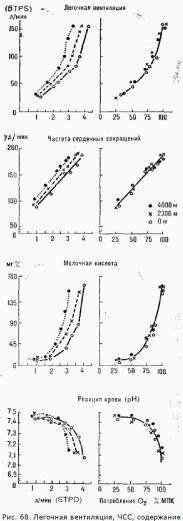 Потери воды и солей в процессе тренировки в жарких условиях