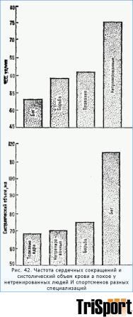 Система крови