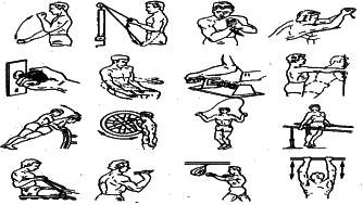 ���������� - �������� ���������� �������� (�������������)