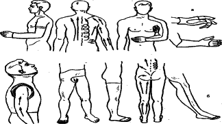 ���������� - �������� ���������� �������� (�������������)