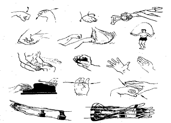 ���������� - �������� ���������� �������� (�������������)