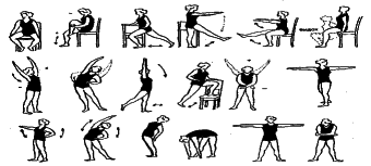 ���������� - �������� ���������� �������� (�������������)