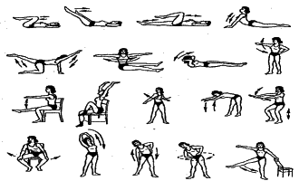 ���������� - �������� ���������� �������� (�������������)